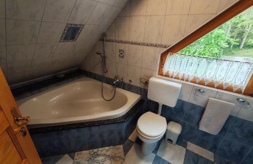Preddvor House | Room Janez