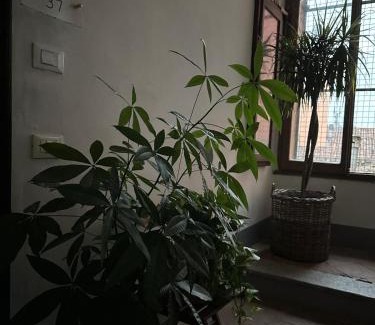 Cremona Apartment | Room Manzoni 37