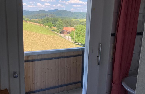 Muehlenbach Apartment | Room 'Nr 1' with Shared Terrace, Shared Garden and Wi-Fi