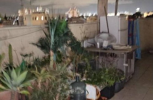 Tel Aviv Apartment | Room rooftop apartment + huge balcony + room