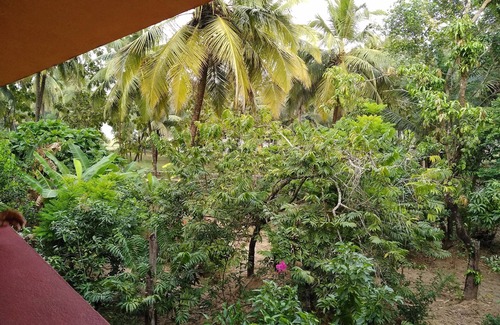 Fatona House | Room with a view in Per-Seraulim, Colva