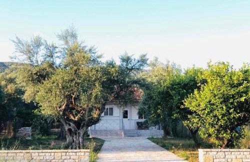 Agrinio Apartment | rooms free