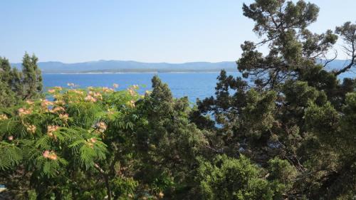 Nerezise Apartment | Rooms Plaža Divuje