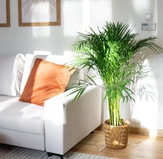 Gorny Sopot Apartment | Roomsy Broniewskiego