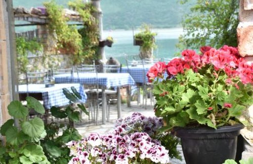 Lin Bed & Breakfast | Rosa B&B