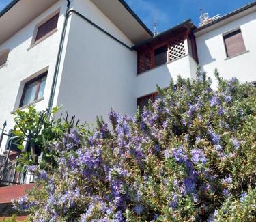 Piancastagnaio House | Rosa d' Inverno
