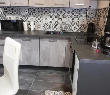 Plombiees-Les-Dijon Apartment | Rose dor