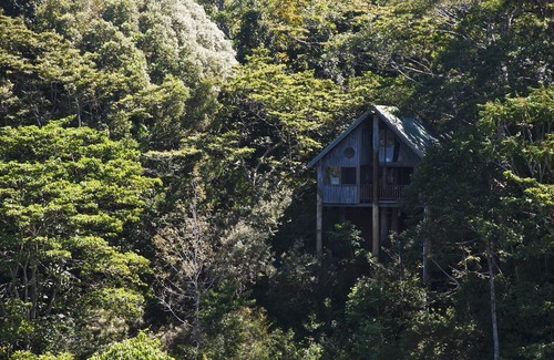 Lake Eacham Apartment | Rose Gums Wilderness Retreat