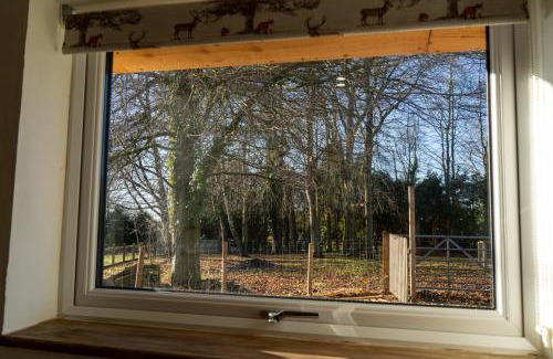 Lydney Ski Chalet | Rose Hideaway - Forest of Dean Cosy Cabin Retreat