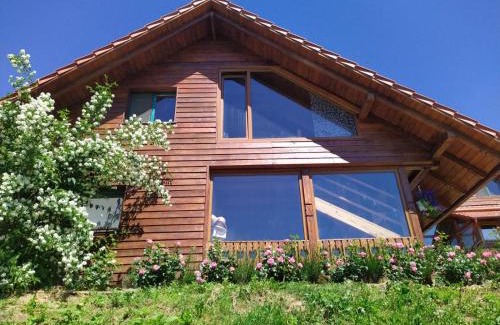 Valea Tirnei Bed & Breakfast | Rose Hip Hill Farm