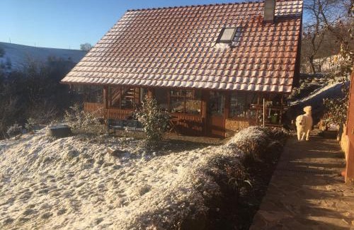 Valea Tirnei Bed & Breakfast | Rose Hip Hill Farm