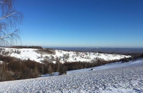 Valea Tirnei Bed & Breakfast | Rose Hip Hill Farm