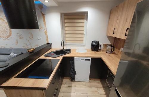 Bielawa Apartment | Rose