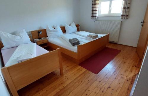 Ratten Hotel | Roseggerhaus