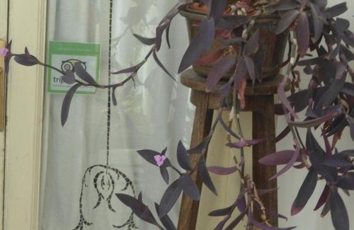 Centro Storico Bed & Breakfast | Rosella Bianchi