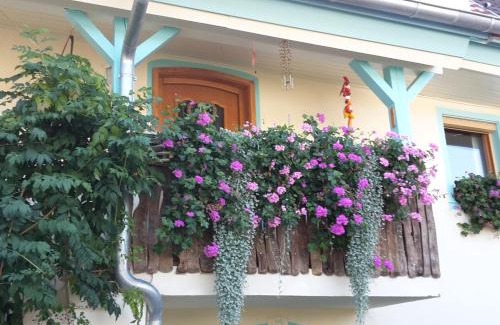 Herbolzheim Apartment | Rosenhof Broggingen