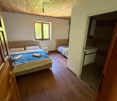 Kukes County House | Rosi peak Guesthouse