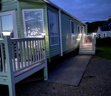 Newton Stewart Other | Rosie