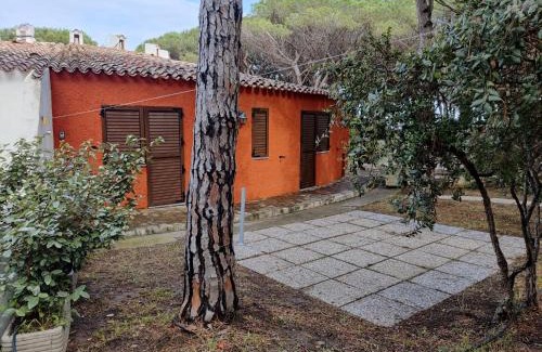 Matta 'e Peru House | Rotonda Sul Mare