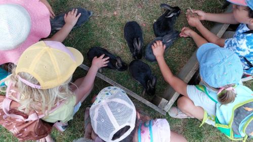 Pouylebon Other | Roulotte a la ferme