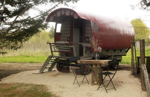 Saint-Vincent-en-Bresse Other | Roulotte irlandaise Polly