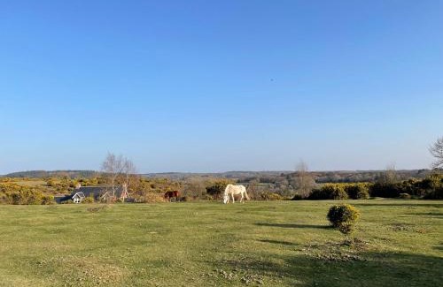 New Forest District House | Roundhill New Forest