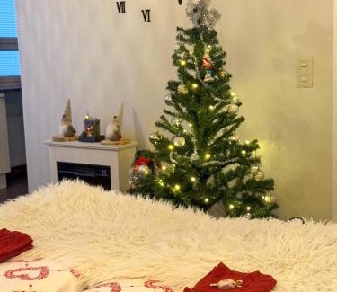 Rovaniemi Apartment | Rovaniemi City Centre Apartments