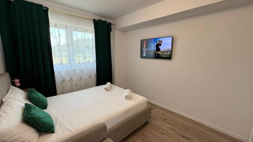 Moieciu Apartment | Rox Mountain View Apartament