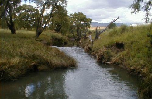 Clarens Cabin | Royal Coachman