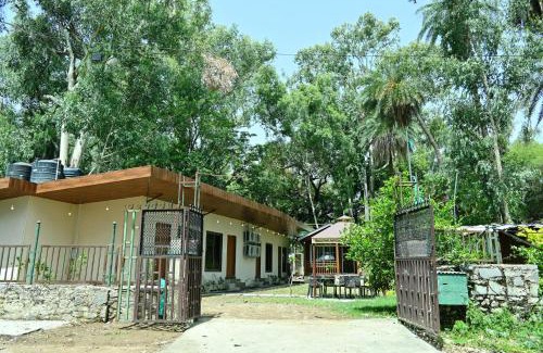 Mount Abu House | Royal cottage by royale palace