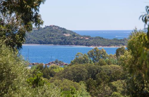 Porto-Vecchio Apartment | Royal Palm