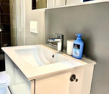 Lugano Apartment | Royal Residence Lugano 101