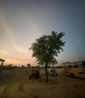 Bikaner Bed & Breakfast | Royal Restaurants