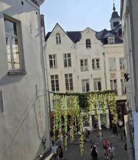 Ilot Sacre Apartment | Royal sleeping Brussels