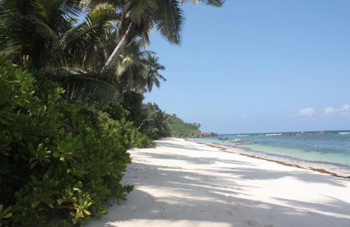 Anse Forbans Apartment | Roz A Mer - Beach Apartment