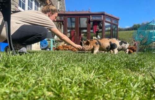 Marwood House | Ruby's Retreat! Farm Stay! North devon! Sleeps 6! Beaches Exmoor!
