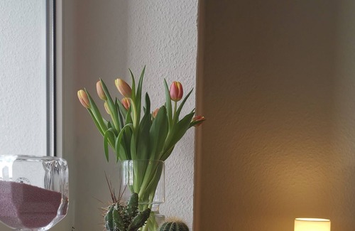 Naumburg Apartment | Ruhig Gelegene Wohnung, mit Blick in die Weinberge und ins Saaletal