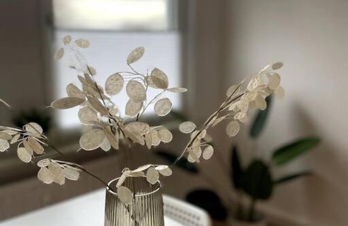 Frohnhausen Apartment | Ruhig und zentral wohnen! MA3R