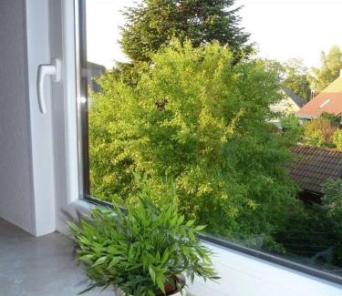 Himmelreich Coldewei Apartment | Ruhige Ferienwohnung Mit Balkon Und Parkplatz