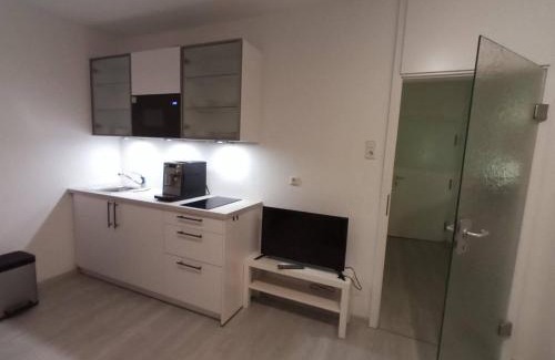 Mitte Apartment | Ruhiges Appartment am Stadtpark