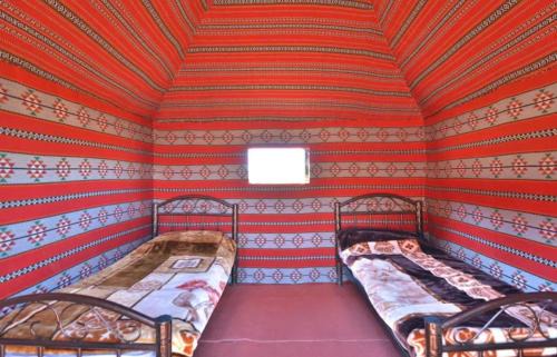 Wadi Rum Other | Rum Magic Nights