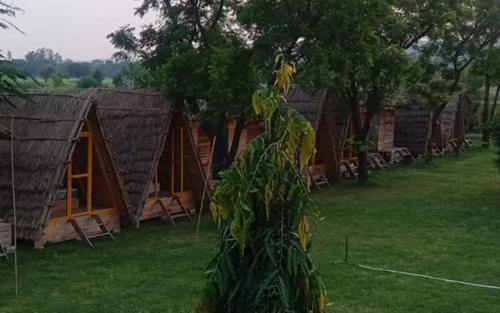 Faridabad Apartment | Rural Sense Organic Farm Stay