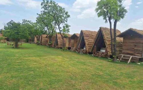 Faridabad Apartment | Rural Sense Organic Farm Stay
