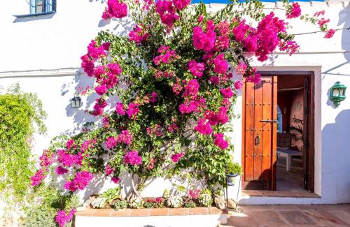 Moclinejo House | Rural village with amazing views