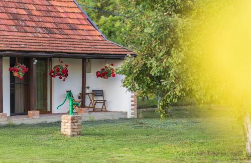Vardarac House | Ruralna kuća za odmor Bor Anya