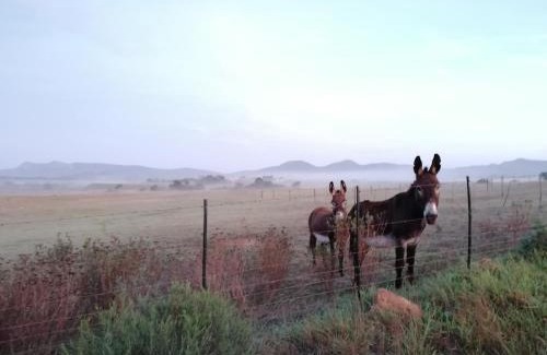 Baardskeerdersbos House | Rusthof Accommodation