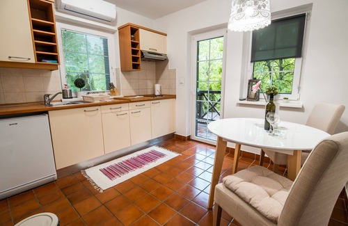 Podcetrtek Apartment | Rustic and Radiant Retreat Apartments With Terrace