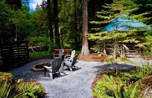 Ashford Cabin | Rustic cabin, nestled in the trees, under a mile to Mt. Rainier entrance.