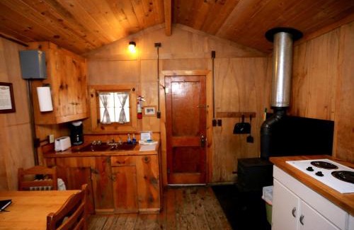 Clark House | Rustic Camping Cabin with Lovely Nature Views in Columbine, Colorado