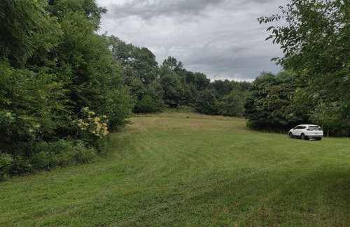 Dowagiac House | Rustic camping on 20 Acres of woods and millions of stars in Dowagiac, MI.